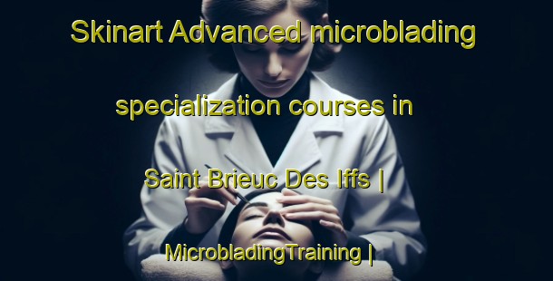 Skinart Advanced microblading specialization courses in Saint Brieuc Des Iffs | MicrobladingTraining | MicrobladingClasses | SkinartTraining-France